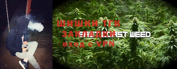 PSILOCYBIN Бронницы
