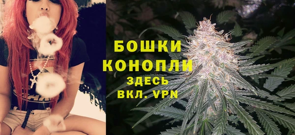 PSILOCYBIN Бронницы