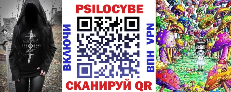 МЕГА вход  Новочеркасск  Псилоцибиновые грибы Psilocybe  купить  